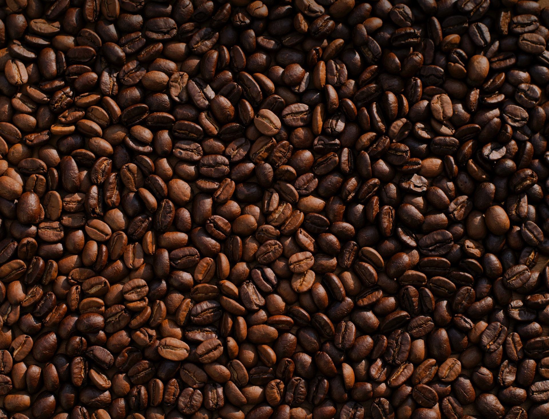 Frisch gebrühter Kaffee