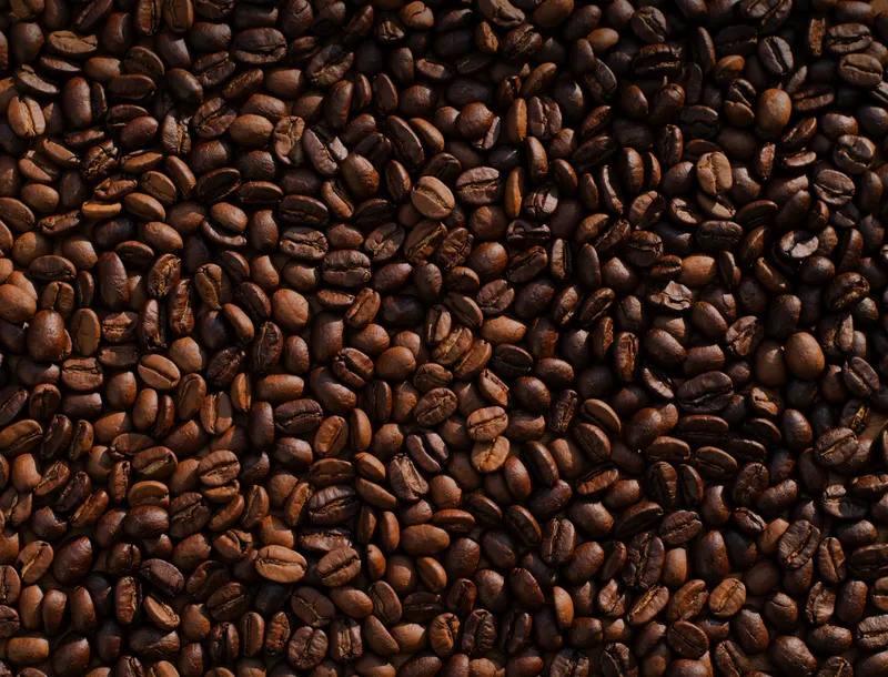 Frisch gebrühter Kaffee mit Crema
