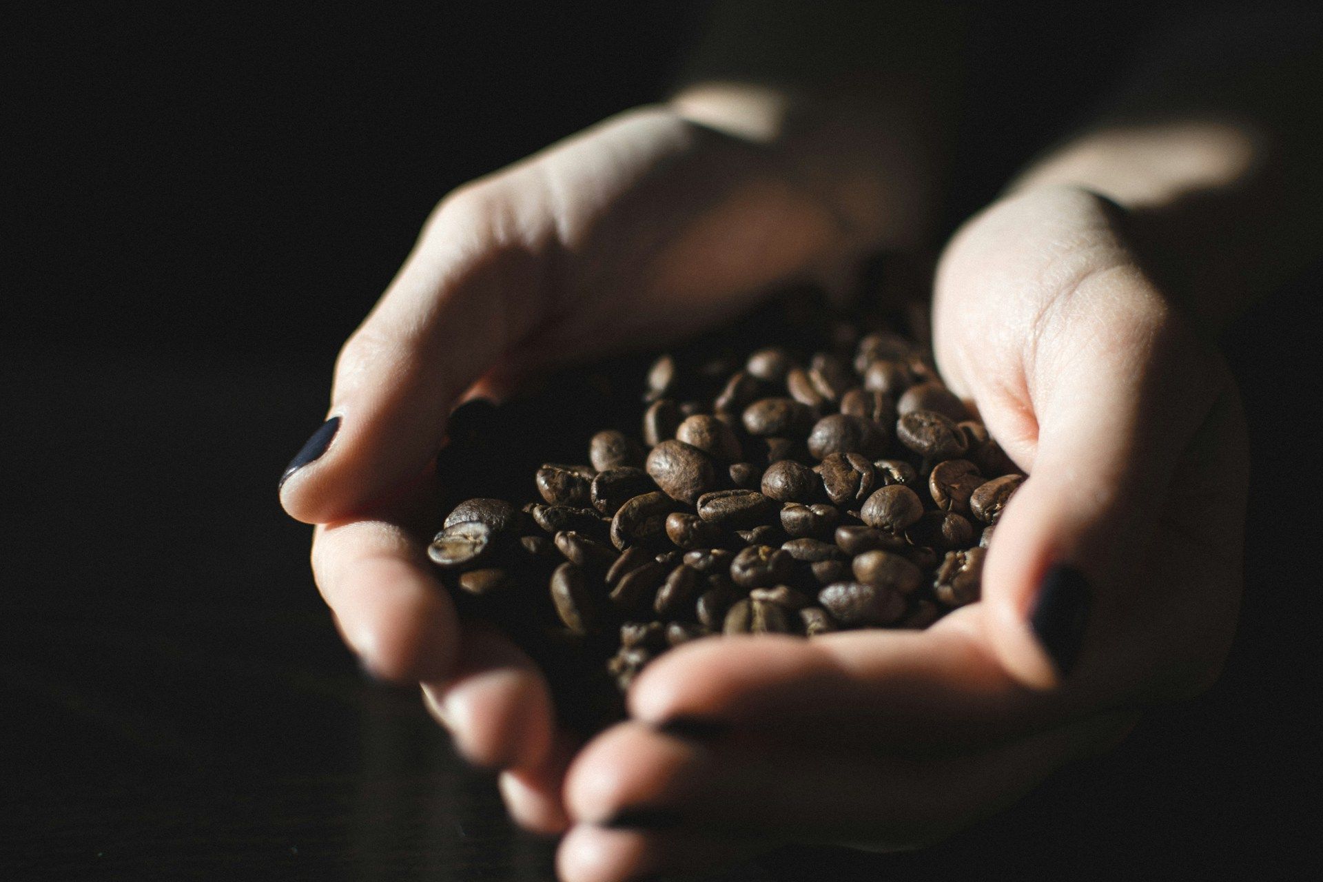 Geröstete Kaffeebohnen in zwei Händen